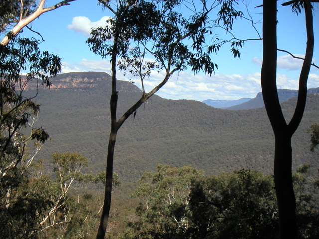This is representative of the view as we walked along the base of the cliff.  The valley is totally covered with eucalyptus forests.