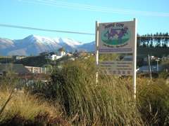 That night I stayed at the "Purple Cow" hostel in Wanaka!  What a crazy coincidence for Williams folk, eh?