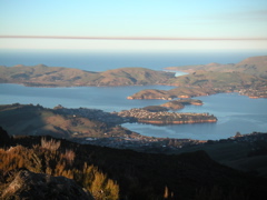Partway down the Otago Peninsula