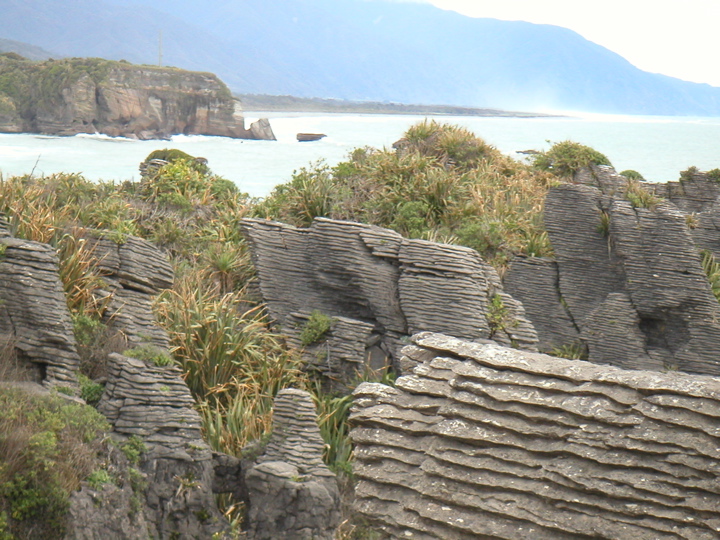A premier tourest destination was the Pancake Rocks seen here.  Apparently some sort of anomaly in the formation of these limestone rocks undersea caused them to be softer/harder in layers so that when weathered by wind and waves they start to look like pancakes.