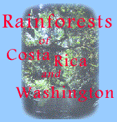 Rainforests of Costa Rica and Washington