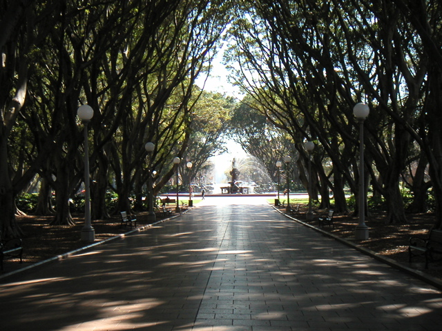 The next morning we walked through downtown Sydney.  This walkway is through Sydney's Hyde Park.  It was quite cool how all the trees had grown together at the top forming this big, long archway over the walkway.  Not to mention the fountains etc.
