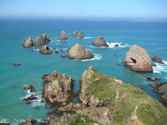 A short way farther down the coast is Nugget Point, which is unusual geologically because the strata making up the rock (which form horizontally) have been tipped 90 degrees to become vertical.  This in turn influences the erosion and creates a beautiful and exotic scene.