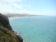 The coast of southern NZ, looking north towards Kaka point.  Looks like a tropical paradise eh?