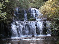 Another stop on my way through the Catlins was at Parakaunui Falls, a short hike away from the dirt road.  I was the only one there; the only sounds were the birds and falling water.