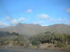 So after our brief sightseeing visit to Christchurch, we set out on a bus to hike to the top of the peak you see on the left, called Castle Rock.