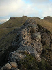 I basically scrambled out along the top of Castle Rock to the point at the end, and stood up there on top of the NZ world!