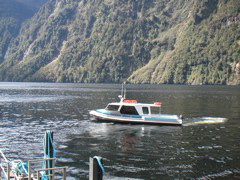 The guide took us (about a dozen people) out into Doubtful Sound on this boat.