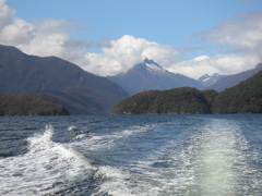 I just couldn't get enough of the scenery in Fiordland.