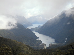 We then took a bus over the pass to Doubtful Sound, seen here enshouded in mist...  can you *believe* how gorgeous this place is??