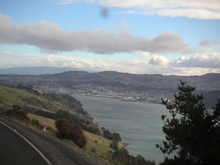 view of Dunedin from the other side of the bay