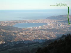 Here is Dunedin, viewed from above!  As you can see, I hiked a fairly long way. :)