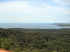 The view out to sea from the top of Rangitoto