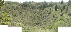 Here's a panoramic view of the volcano's crater, out of which lava used to erupt while the island was forming!  Lots of trees and bushes have started to grow but you can certainly see the bowl shape.